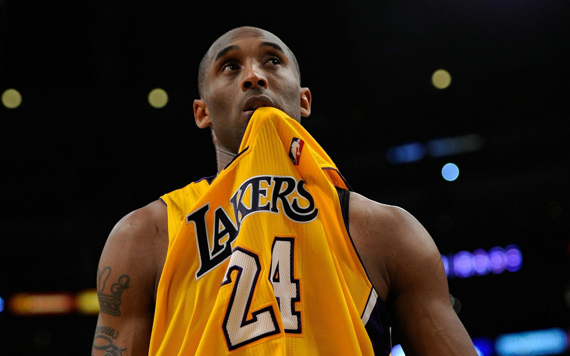 占据优势的 占据优势的